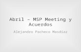 Reunión MSP Chile Abril 2009
