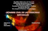 Diapositivas Civil Personas.