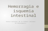 I Curso de Actualización en urgencias: Hemorragia e isquemia intestinal