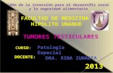 Tumores Testiculares-Patología Especial