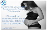 El papel del fisioterapeuta en el embarazo, labor de parto y postparto
