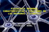 Fisiología del sistema nervioso central