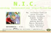 NIC - Clasificación de las intervenciones en enfermería