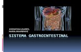 Sistema gastrointestinal 2013 2.