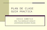 Plan de clase crisis asmatica