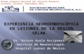 Experiencia neuroendoscópica en lesiones de la región selar. ARTURO AYALA ARCIPRESTE MD FAANS