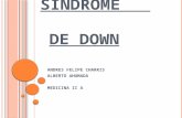 Sindrome de down