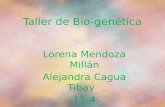 Taller de bio genética