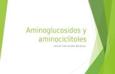 Aminoglucosidos y aminociclitoles