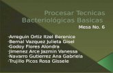 Procesar tecnicas basicas bacteriologicas :}