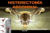Histerectomia abdominal dan2