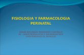 Fisio.farm. perinatal