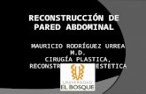 Cirugia plastica Reconstrucción de Pared Abdominal