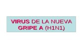 Virus de la nueva gripe A