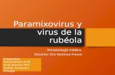 Paramixovirus y rubéola