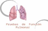 Pruebas  De   Funcion Pulmonar