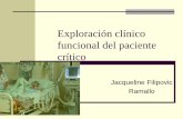 Exploración clínico funcional del paciente crítico 2011