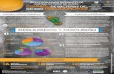 Poster MICROORGANISMOS ALTERANTES DE CORTEZA EN TORTA DE QUESO: CONTROL DE BACTERIAS DEL GÉNERO PSEUDOMONAS