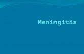 Meningitis.pptx ja