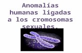 Anomalías humanas ligadas a los cromosomas sexuales