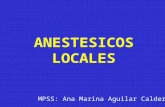 Anestesicos locales