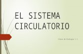 Método Deductivo- El sistema circulatorio