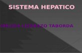 Sistema hepatico melida lizarazo slideshare