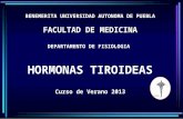 Hormonas tiroideas - Tiroides - Glándula Tiroides