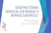 Cirugia Bariatrica: Aspectos Historicos, Guias de Seleccion y Tecnicas. Revisión Mayo 2015