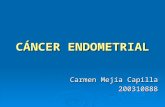 CáNcer Endometrial