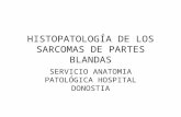 CONCEPTOS BASALES SOBRE DIAGNOSTICO PATOLOGICO DE TUMORES DE PARTES BLANDAS
