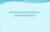 Tema 6 mutacion genicay cromosomica
