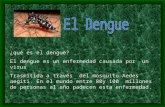 3ª "D" Dengue