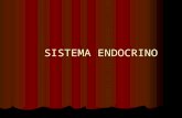 Histología: Sistema endocrino