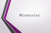 Minerales exposicion   copia