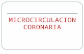Microcirculacion coronaria