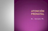 1 control prenatal