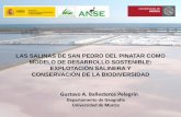 Las Salinas de San Pedro del Pinatar como modelo de desarrollo sostenible: explotación salinera y conservación de la biodiversidad