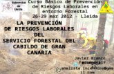 04 Prevencion Riesgos Laborales en Servicio Extincion Incendios Forestales Cabildo Gran Canaria