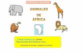 Animales salvajes o de africa
