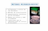 Metodos microbiologico sambiental