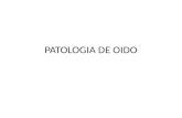 Patologias embriologicas de oido