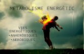 Metabolisme EnergèTic