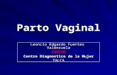 Go Clase 22 Parto Vaginal Dr Fuentes