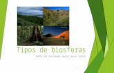tipos de Biomas