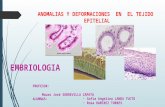 Anomalias y deformaciones  en  el tejido  epitelial1