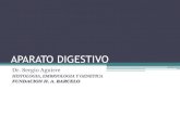 Aparato digestivo - Parte 2 (Histología Dr. Aguirre)
