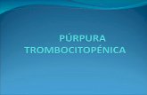 Purpura trombocitopénica