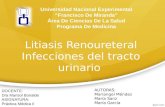 Litiasis renal e infecciones del tracto urinario