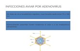 Coronavirus, rotavirus y astrovirus